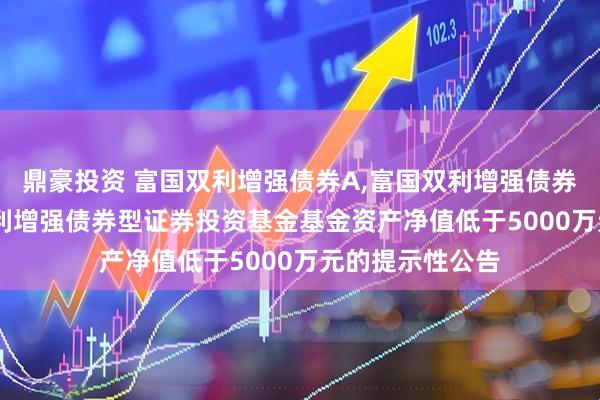 鼎豪投资 富国双利增强债券A,富国双利增强债券C: 关于富国双利增强债券型证券投资基金基金资产净值低于5000万元的提示性公告