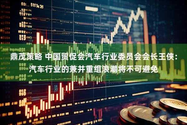 鼎茂策略 中国贸促会汽车行业委员会会长王侠：汽车行业的兼并重组浪潮将不可避免
