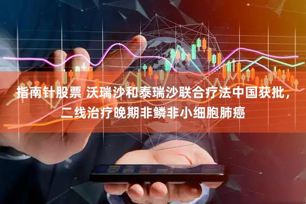 指南针股票 沃瑞沙和泰瑞沙联合疗法中国获批，二线治疗晚期非鳞非小细胞肺癌