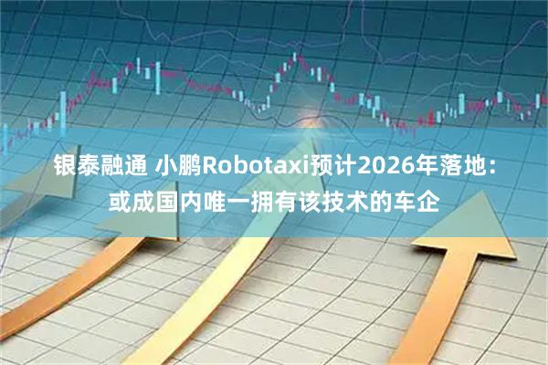 银泰融通 小鹏Robotaxi预计2026年落地：或成国内唯一拥有该技术的车企