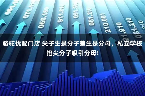 骆驼优配门店 尖子生是分子差生是分母，私立学校掐尖分子吸引分母!