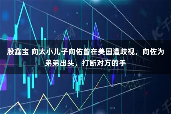 股鑫宝 向太小儿子向佑曾在美国遭歧视,向佐为弟弟出头,打断对方的手