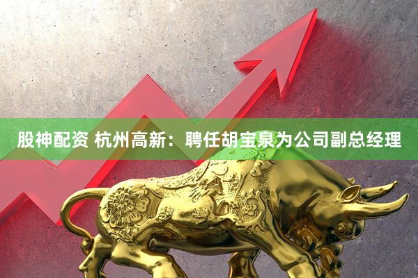 股神配资 杭州高新：聘任胡宝泉为公司副总经理